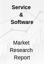 Global Localization Software Market Research Report 2019