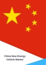 Latest Research Report on China New Energy Vehicle Market and Industry 2001 to 2025 2020 Edition