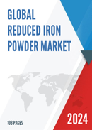 China Reduced Iron Powder Market Report Forecast 2021 2027