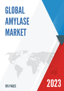 Global Amylase Market Insights and Forecast to 2028