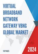 Global Virtual Broadband Network Gateway vBNG Market Insights Forecast to 2028