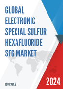 Global Electronic Special Sulfur Hexafluoride SF6 Market Outlook 2022