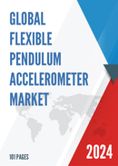 Global Flexible Pendulum Accelerometer Market Research Report 2022