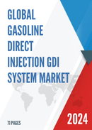 Global Gasoline Direct Injection GDI System Market Insights and Forecast to 2028