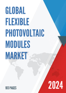 Global Flexible Photovoltaic Modules Market Research Report 2024