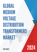 Global Medium Voltage Distribution Transformers Market Outlook 2022