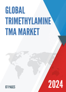 Global Trimethylamine TMA Market Insights Forecast to 2029