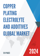Global Copper Plating Electrolyte and Additives Market Insights Forecast to 2028