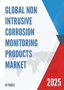 Global Non Intrusive Corrosion Monitoring Products Market Research Report 2025