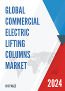 Global Commercial Electric Lifting Columns Market Insights Forecast to 2028