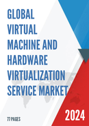 Global Virtual Machine and Hardware Virtualization Service Market Insights Forecast to 2028