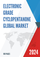 Global Electronic Grade Cyclopentanone Market Research Report 2022