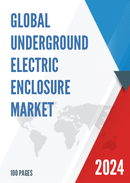 Global Underground Electric Enclosure Industry Research Report Growth Trends and Competitive Analysis 2022 2028