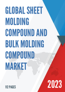 Global Sheet Molding Compound and Bulk Molding Compound Market Insights and Forecast to 2028