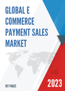 Global E commerce Payment Market Size Status and Forecast 2020 2026