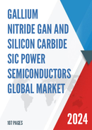 Global Gallium Nitride GaN and Silicon Carbide SiC Power Semiconductors Market Size Status and Forecast 2022