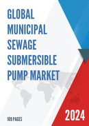 Global Municipal Sewage Submersible Pump Market Research Report 2024