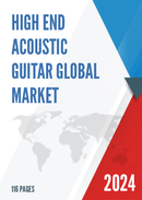 Global High end Acoustic Guitar Market Insights Forecast to 2028