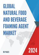 Global Natural Food and Beverage Foaming Agent Market Insights and Forecast to 2028