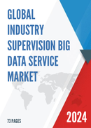 Global Industry Supervision Big Data Service Market Research Report 2024