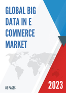Global Big Data in E commerce Market Insights Forecast to 2028