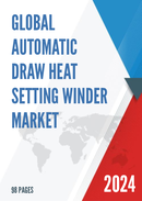Global Automatic Draw Heat Setting Winder Market Outlook 2022