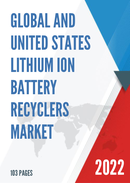 Global and United States Lithium ion Battery Recyclers Market Report Forecast 2022 2028