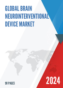 Global Brain Neurointerventional Device Market Research Report 2023