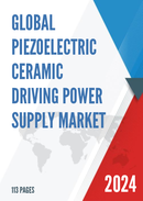 Global Piezoelectric Ceramic Driving Power Supply Market Research Report 2023