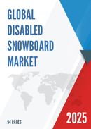 Global Disabled Snowboard Market Research Report 2025