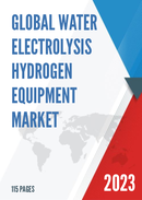 Global Water Electrolysis Hydrogen Equipment Market Insights Forecast to 2028