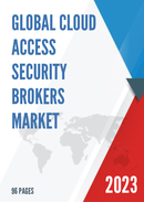 Global Cloud Access Security Brokers Market Size Status and Forecast 2022