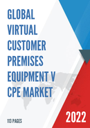Global Virtual Customer Premises Equipment V CPE Market Insights and Forecast to 2028