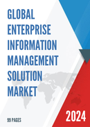 Global Enterprise Information Management Solution Market Insights Forecast to 2028