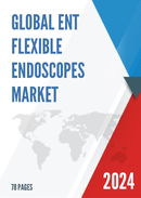 Global ENT Flexible Endoscopes Market Insights and Forecast to 2026
