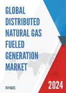 Global Distributed Natural Gas Fueled Generation Market Size Status and Forecast 2021 2027