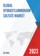 Global Hydroxylammonium Sulfate Market Insights and Forecast to 2028