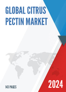 Global Citrus Pectin Market Size Manufacturers Supply Chain Sales Channel and Clients 2021 2027