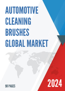 Global Automotive Cleaning Brushes Market Insights and Forecast to 2028