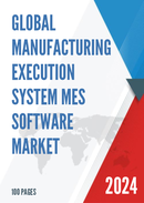 Global Manufacturing Execution System MES Software Market Insights and Forecast to 2028