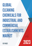 Global Cleaning Chemicals for Industrial and Commercial Establishments Market Research Report 2023