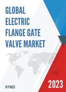 Global Electric Flange Gate Valve Market Research Report 2022