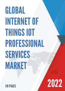 Global Internet of Things IoT Professional Services Market Insights and Forecast to 2028