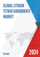 Global Lithium Tetrafluoroborate Market Insights and Forecast to 2028