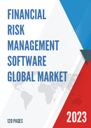 Global Financial Risk Management Software Market Size Status and Forecast 2022