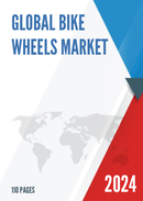 Global Bike Wheels Market Outlook 2022