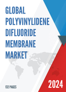 Global Polyvinylidene Difluoride Membrane Market Insights and Forecast to 2028