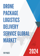Global Drone Package Logistics Delivery Service Market Research Report 2023