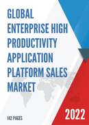 Global Enterprise High Productivity Application Platform Sales Market Report 2022