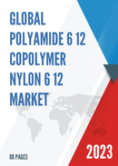 Global Polyamide 6 12 Copolymer Nylon 6 12 Market Insights and Forecast to 2028